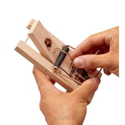 Klasyczna pułapka na szczury